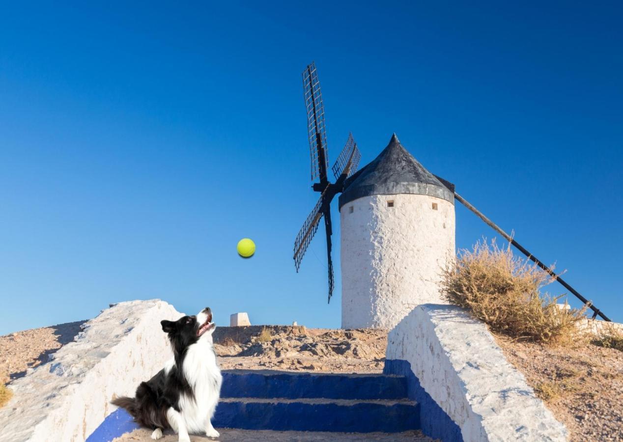 Apartamento Vistas Molineras Consuegra Dış mekan fotoğraf